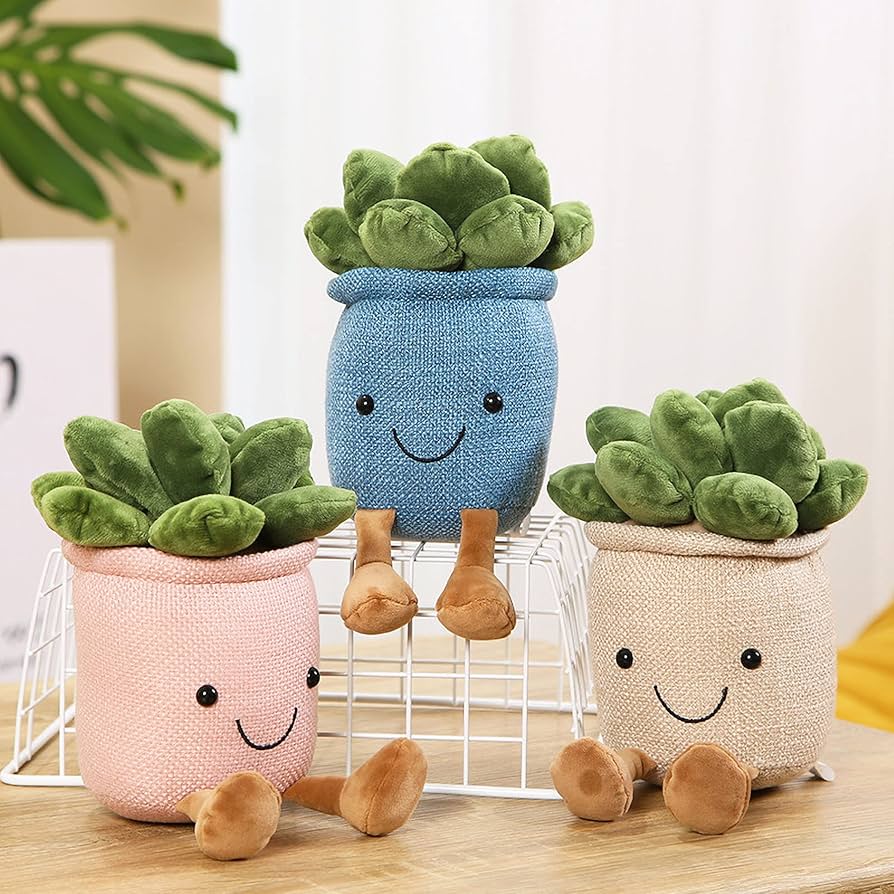 多肉植物とぬいぐるみのセット 81oelZ+tYCL._UF894,1000_QL80_.jpg